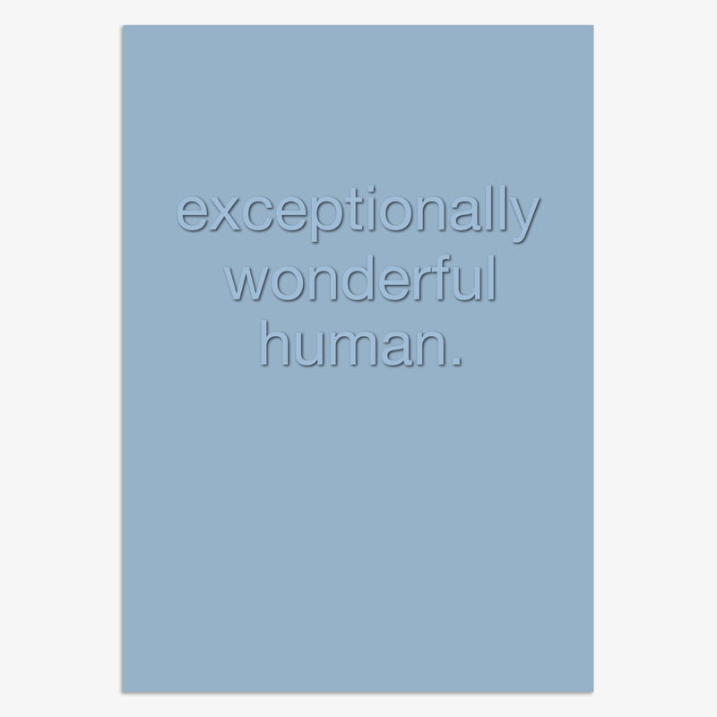 HSH08 - WONDERFUL HUMAN